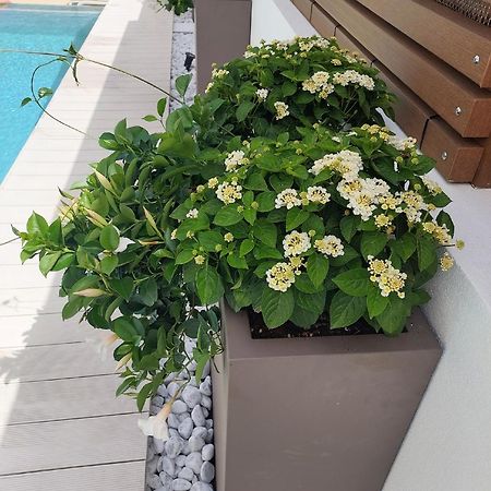 Hotel Nettuno Кала-Гононе Экстерьер фото